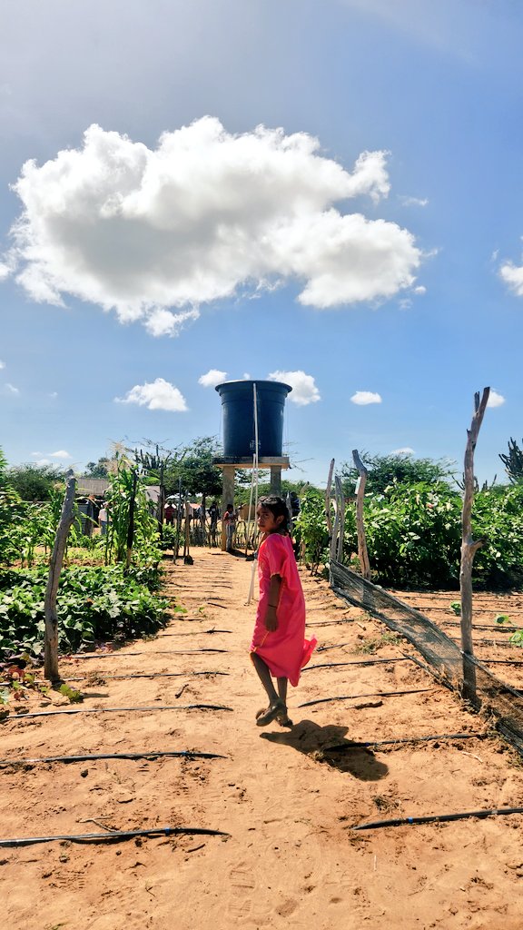jmojicaflorez's tweet image. La comida más rica que he probado me la prepararon hoy en la Comunidad Koushalai en #Maicao. Frijolitos guajiros, berenjenas rellenas con carne y queso de 🐐,  masita de yuca con vegetales, chicha de maíz 🌽 y berenjena y dulce también de 🍆. Resultados de la acción urgente