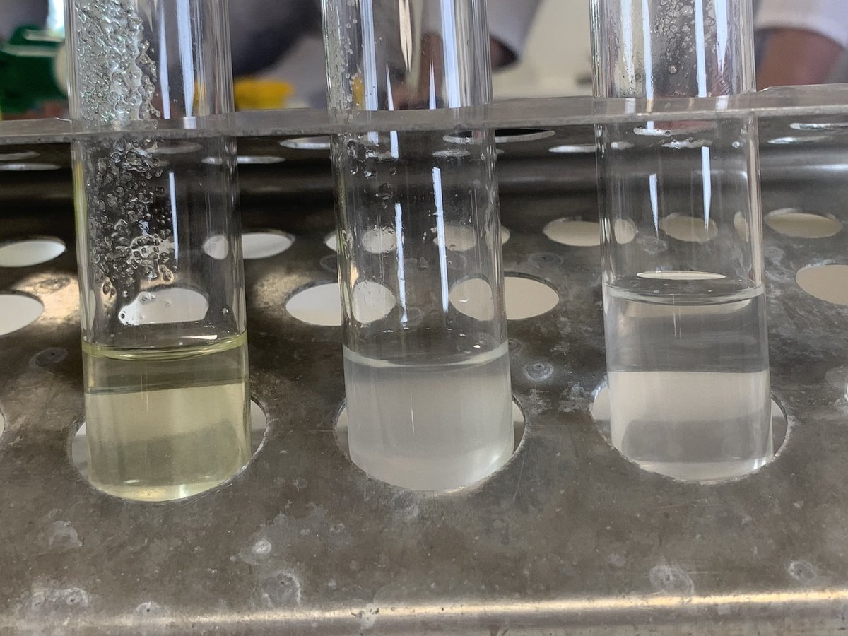 BeckRSaunders's tweet image. #IB #Biology #TransitionProgram #TopicA investigating the properties of water