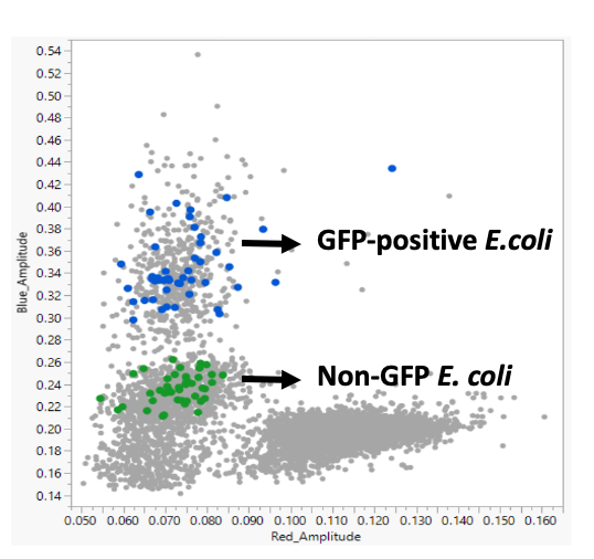 IsolationBio's tweet image. Easily screen for Green Fluorescent Labeled (GFP)-labeled bacteria using the Prospector

Load 100s of bacteria on nanoscale array &amp;gt; Incubate &amp;gt; Image &amp;amp; analyze red vs blue signal &amp;gt; Select GFP+ wells &amp;gt; Start automated transfer  &amp;gt; GFP-labeled isolates 

isolationbio.com/resources