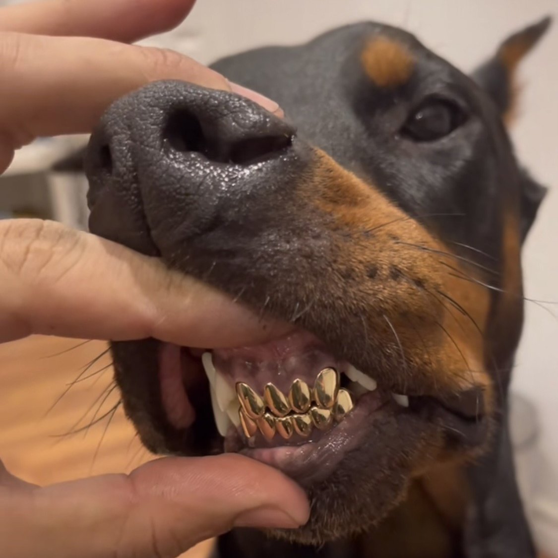 ARTIFAXING (@pedestrian) on Twitter photo 