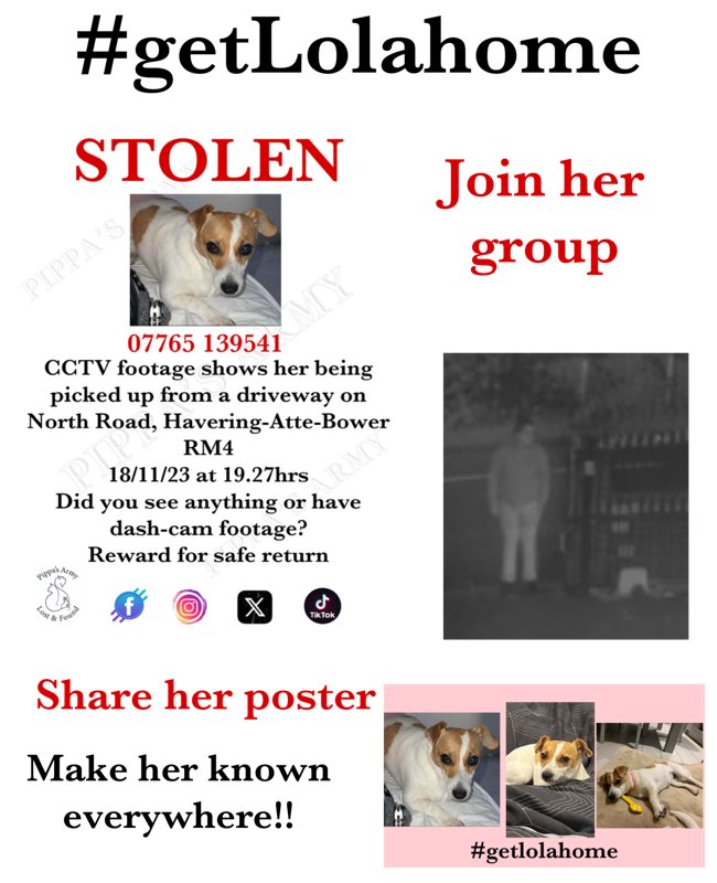 Pippa's Army (@pippasarmy) on Twitter photo facebook.com/groups/8657346…
<a href="/JacquiSaid/">Dogs of Tooting 1</a> <a href="/thedogfinder/">Dog Finder 💙</a> <a href="/OneStopAllDogs/">ONE STOP - ALL DOGS</a> <a href="/SAMPAuk_/">Stolen&Missing Pets</a> <a href="/HunnyJax/">Stolen Missing Longtimelost 🐾Where Are They All</a> <a href="/Lorrain90964806/">Lost pets missing and stolen</a> <a href="/usainbolt/">Usain St. Leo Bolt</a> <a href="/MissingPetsGB/">Missing Pets GB</a> <a href="/missing_n_found/">Missing&Found Worldwide-primarily U.K.&U.S.</a>
#getLolahome #stolen #HaveringAtteBower #havering facebook.com/groups/8657346…
<a href="/JacquiSaid/">Dogs of Tooting 1</a> <a href="/thedogfinder/">Dog Finder 💙</a> <a href="/OneStopAllDogs/">ONE STOP - ALL DOGS</a> <a href="/SAMPAuk_/">Stolen&Missing Pets</a> <a href="/HunnyJax/">Stolen Missing Longtimelost 🐾Where Are They All</a> <a href="/Lorrain90964806/">Lost pets missing and stolen</a> <a href="/usainbolt/">Usain St. Leo Bolt</a> <a href="/MissingPetsGB/">Missing Pets GB</a> <a href="/missing_n_found/">Missing&Found Worldwide-primarily U.K.&U.S.</a>
#getLolahome #stolen #HaveringAtteBower #havering