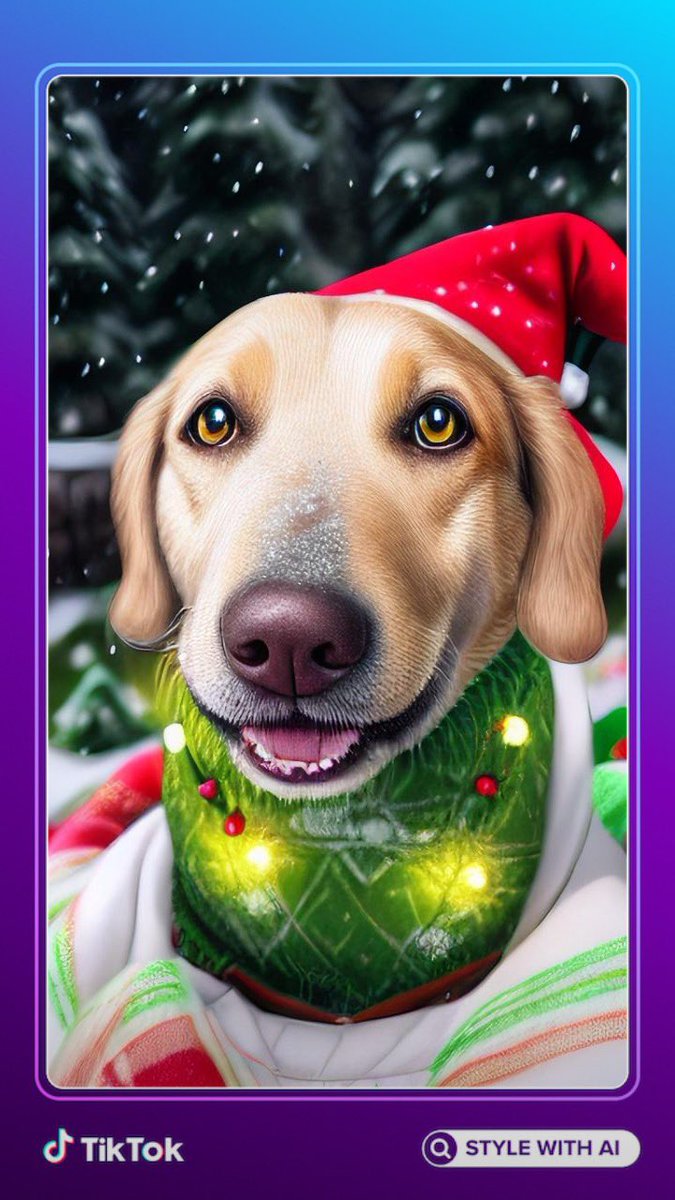 huskadoodledoo's tweet photo. Mine is da best one https://t.co/PqK7V62hUN