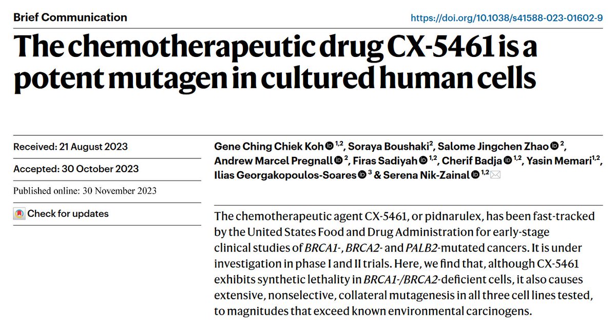 อ้าว กำ .. CX-5461 (Pidnarulex) ยามะเร็งตัวใหม่ที่ใช้กลไก synthetic lethality เหมาะกับผู้ป่วยมะเร็งที่มี BRCA1/2 หรือ PALB2 mutations ตอนนี้กำลังทำ phase 1/2 clinical trial อยู่ มีงานตีพิมพ์ใน Nature Genetics ว่ายาตัวนี้เป็น potent mutagen ในเซลล์ปกติด้วย 
nature.com/articles/s4158…