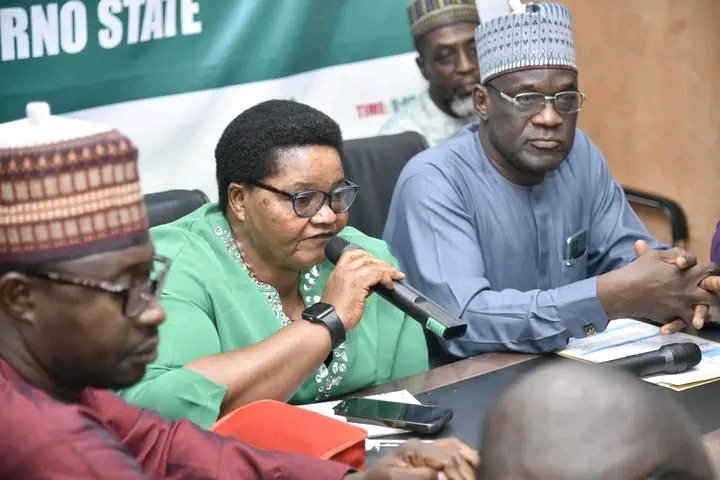 gerinitiative's tweet photo. SPMU Borno, GERI, and other commissioners from various ministries of the State participated in a parallel technical session on the path forward to have a better milestone as part of the World Bank and ACReSAL Nigeria's Hybrid Implementation Support Mission. https://t.co/Qh0pLjWWdJ