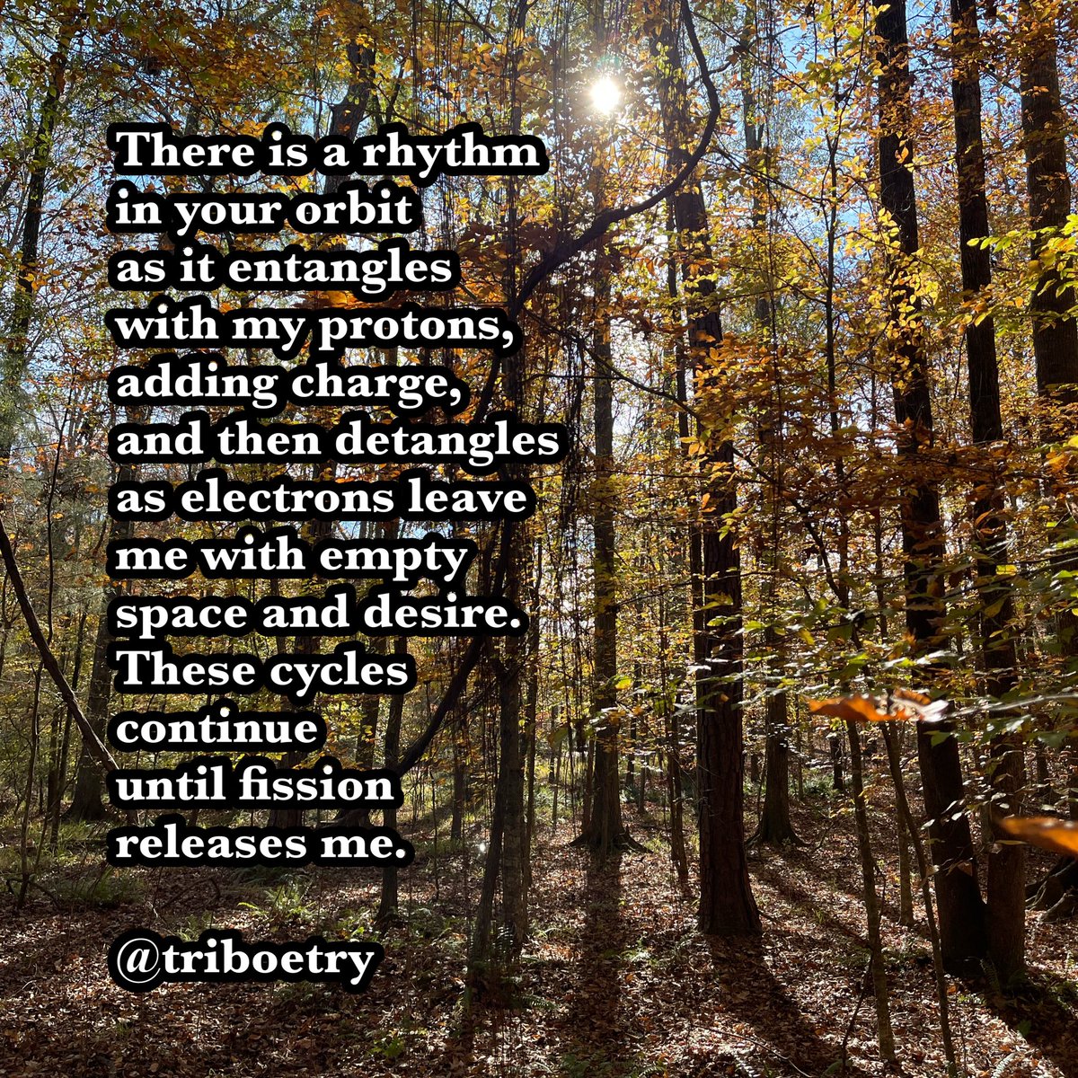 triboetry's tweet photo. @Kchollow_writes https://t.co/loO1o5BeDX