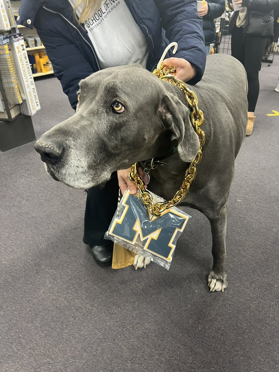 katlin_bruce's tweet photo. Had a visitor while shopping for recruitment goodies at the M Den today! Remy says #goblue https://t.co/LkQYPkDYNj