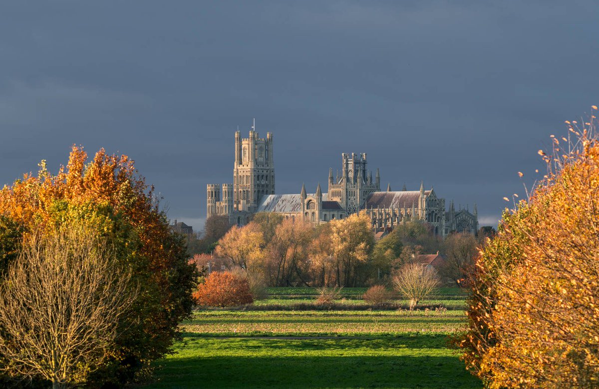photohound's tweet photo. Congratulations Andy of @sharpeimagesuk on being selected for Curators’ Choice this week. The warmth of the autumnal leaves against the steely Cambridgeshire sky makes Ely Cathedral ‘pop’ even more spectacularly than usual. 🍂📍❤️
#travelphotography #Cambridge https://t.co/dhQgzPKNyT