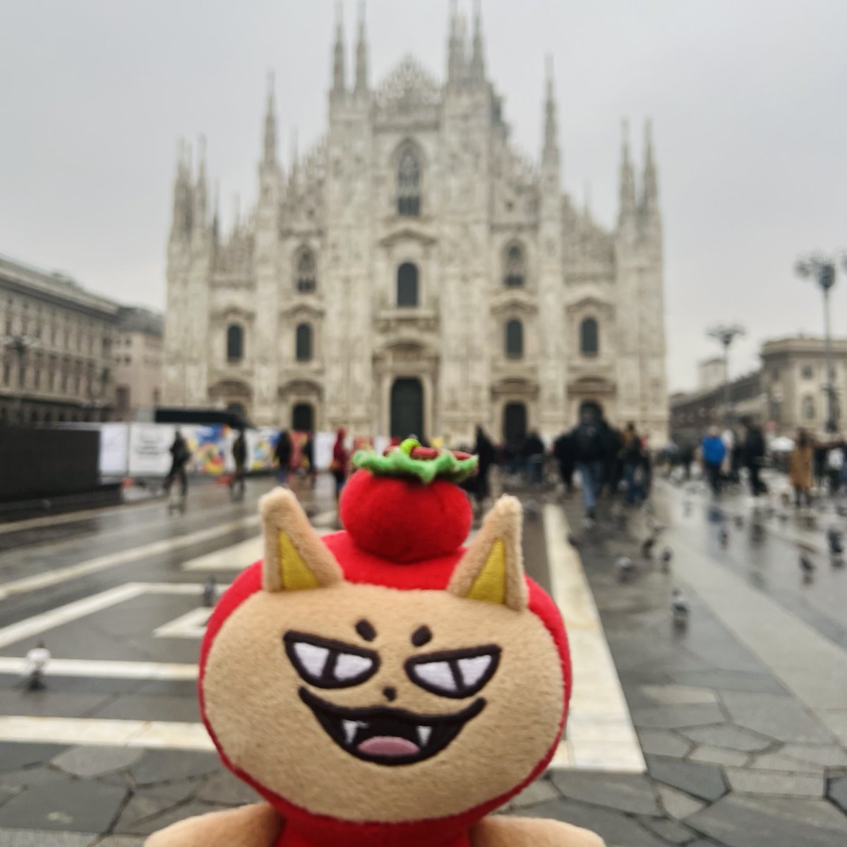 forcehk_'s tweet photo. 𝕋𝕠𝕞𝕒𝕗𝕠𝕩 𝕚𝕟 𝕄𝕚𝕝𝕒𝕟 ✈️ 🇮🇹

เจอกันวันเสาร์ที่โรมนะจ๊ะ

#fforce_ #kasibook https://t.co/IoMON9r5KD