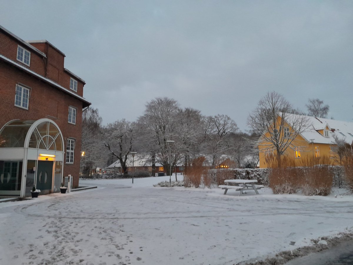 Rikke S. Møller tweet media