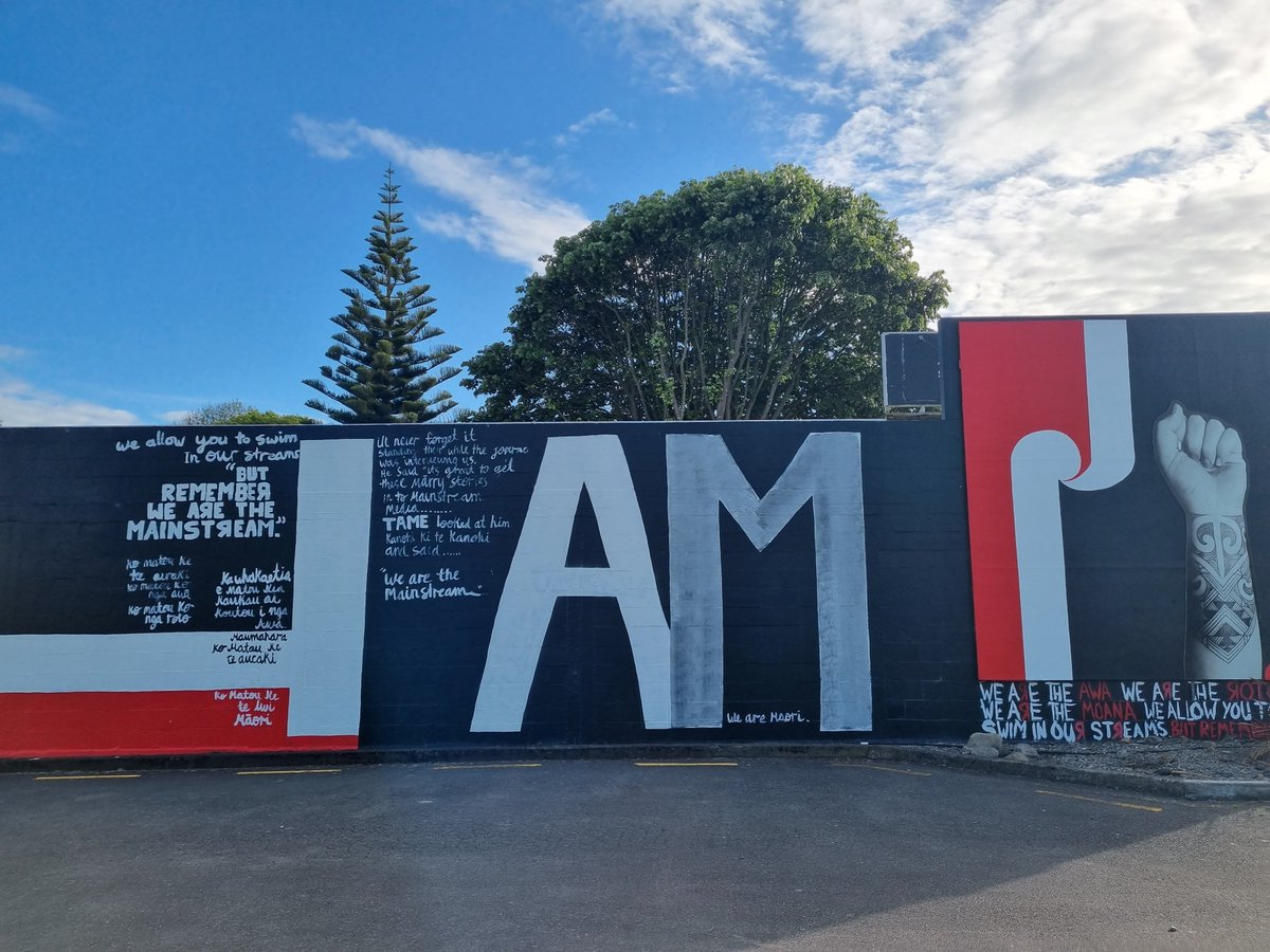 In Ōtaki for Koro Tūroa Royal's tangi before we return to Waimango. After this past week, needed this. Ngā mihi Ngāti Raukawa

#rongoā
#Iam