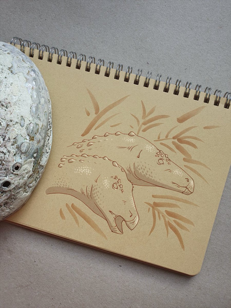 ConfusedHadro's tweet photo. #Archovember Day 30: Scutellosaurus lawleri

#paleoart #palaeoart #dinosaur #art #dinovember  #Scutellosaurus #Thyreophora #Ornithischia https://t.co/UbLXcRJUcK