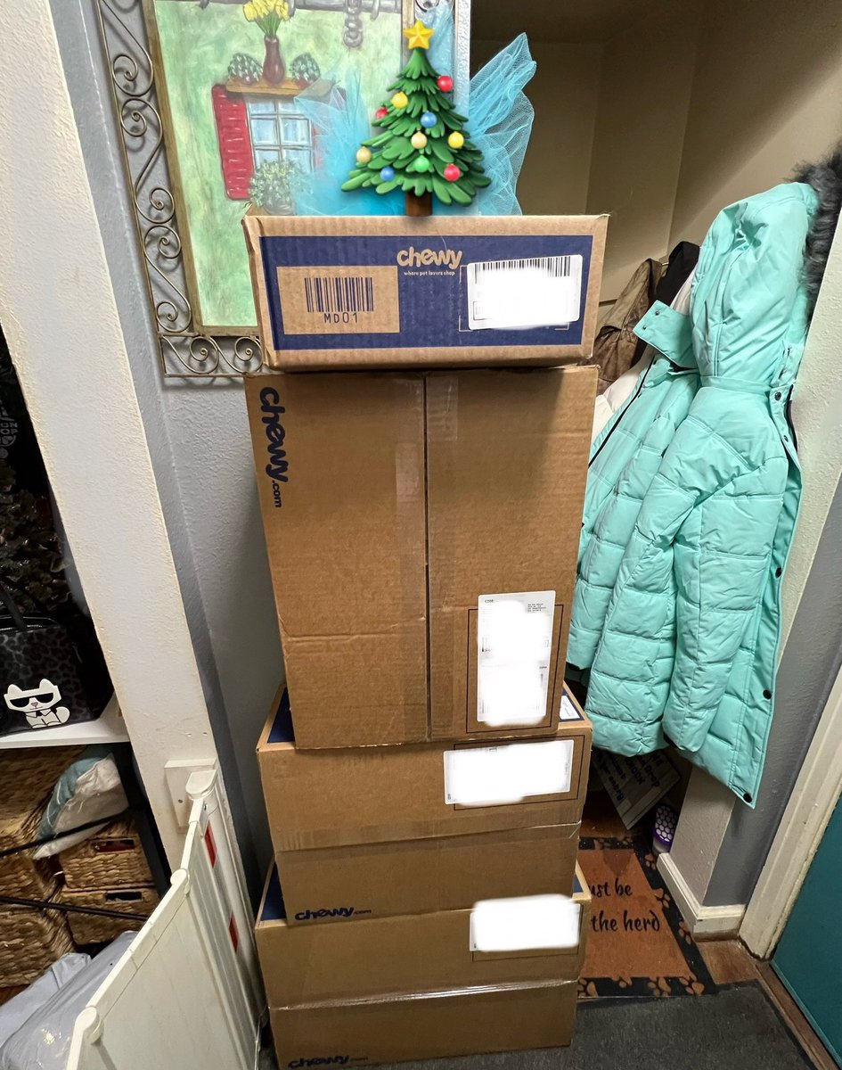 Deck the hall with @Chewy boxes
Fa la la la la La La La La 🎄
Thank you for these #GivingTuesday2023 gifts. Kindness really does matter. Foods for ALL the littles are enclosed. 
Huge thanks to Chewy & their Rescue program for making this pawsible.