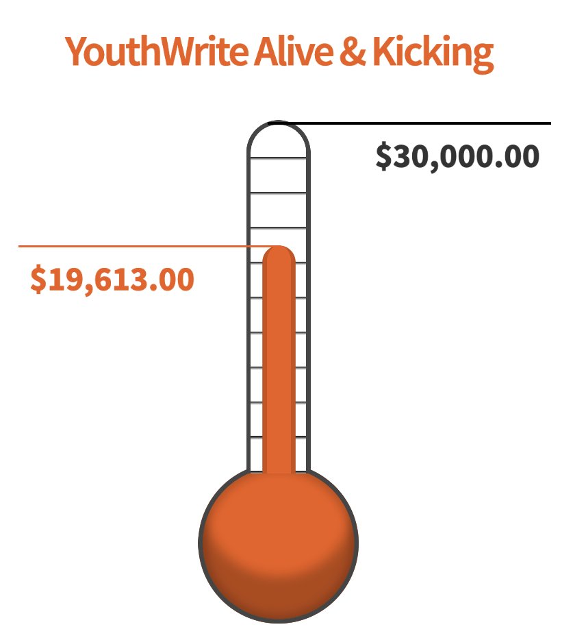 YouthWrite's tweet photo. WOW! Look at the generosity of our supporters! This is what giving back and paying it forward look like! Three cheers for YouthWrite donors! 🎉🎉🎉 And where are we going? UPWARDS! For ways to give, please visit our website: https://t.co/FxGUjeWmHt @gailssobat @trofs @WritingSeal https://t.co/EIF79zE3xo