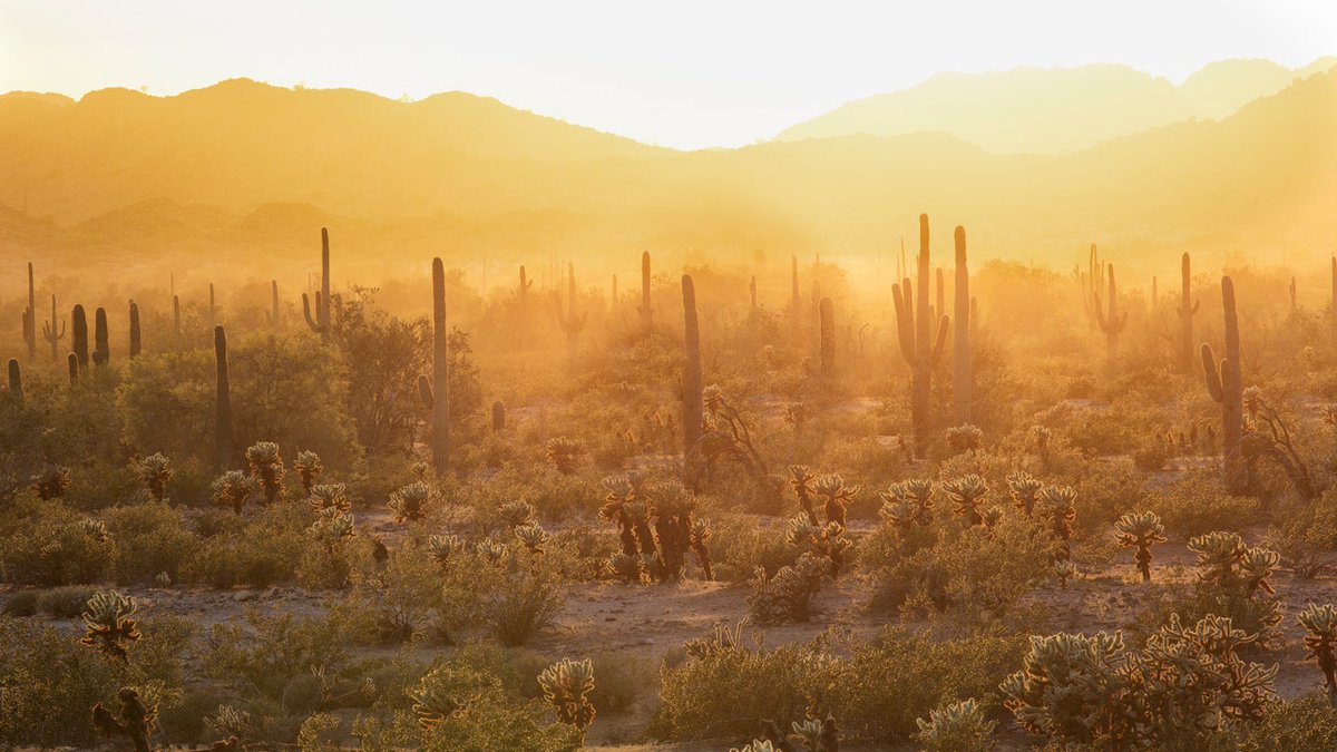 BLMNational's tweet image. Trails have always been integral to Indigenous life - providing routes for migration, trade, and communication. Many of these ancient paths are now part of the National Trails System. In honor of #NAHM, we encourage you to explore them and learn more: ow.ly/xZLn50QcXlK.