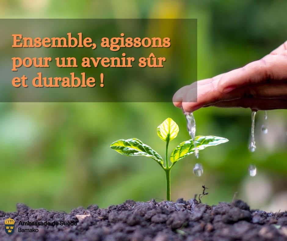 Les conséquences du changement climatique ne se limitent pas à l'environnement, mais touchent également la sécurité des femmes et des filles. 🌍🧡 #SuèdecontreVBG #16Jours #Pasdexcuse #ÉgalitéEnAction #StopVBG