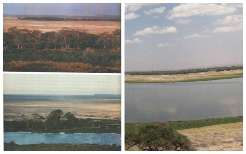 PhotosForTrees's tweet photo. Top Left: The view 'from #ObservationHill 1956.
Bottom Left: The same view in 1985.
Bottom Right: The same view Google 2019

From: #AMBOSELI NOTHING SHORT OF A MIRACLE
By David Lovatt Smith

@kenyangeography #repeatphotography #landscapechange https://t.co/rYtOvUoZhW