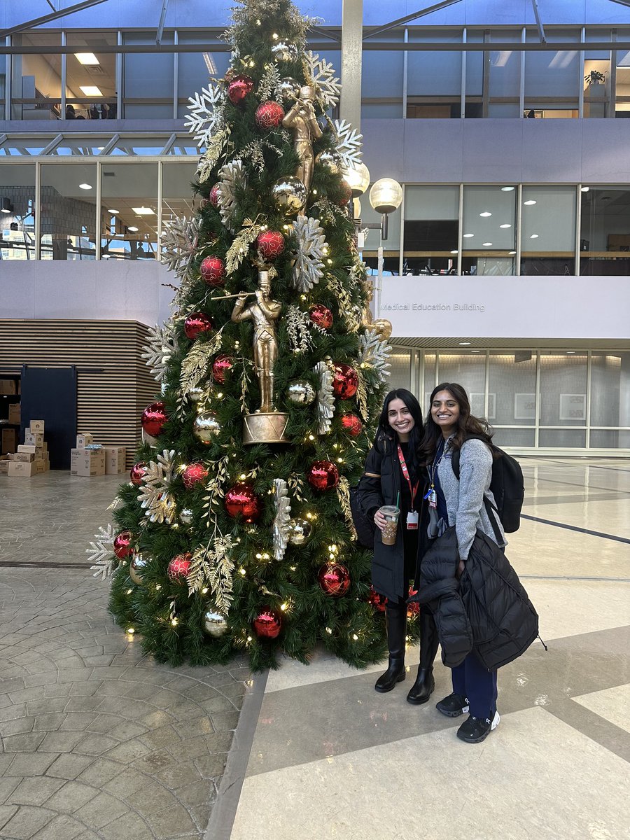 PedsRwj's tweet photo. It’s beginning to look a lot like Christmas 🎶🎶🎶🎶 https://t.co/r3ncjsKDo3
