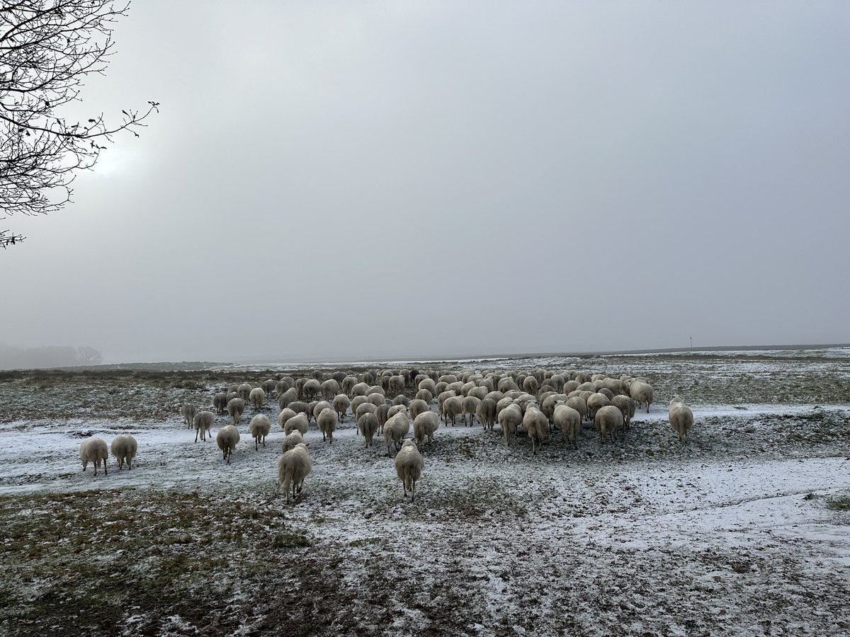 Hilda Blanke tweet media