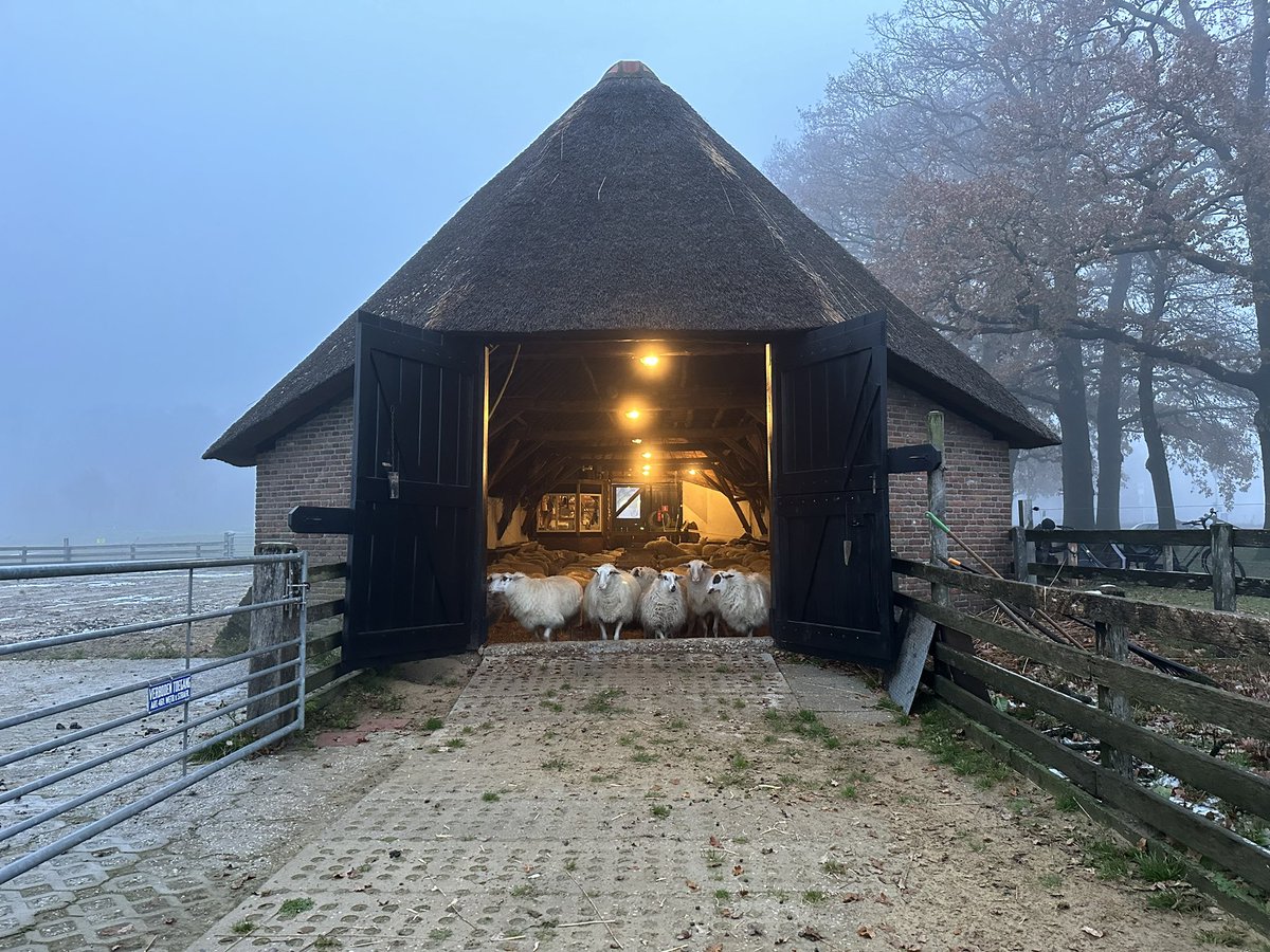 Hilda Blanke tweet media