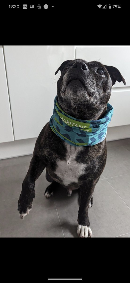 PD Cooper tweet media