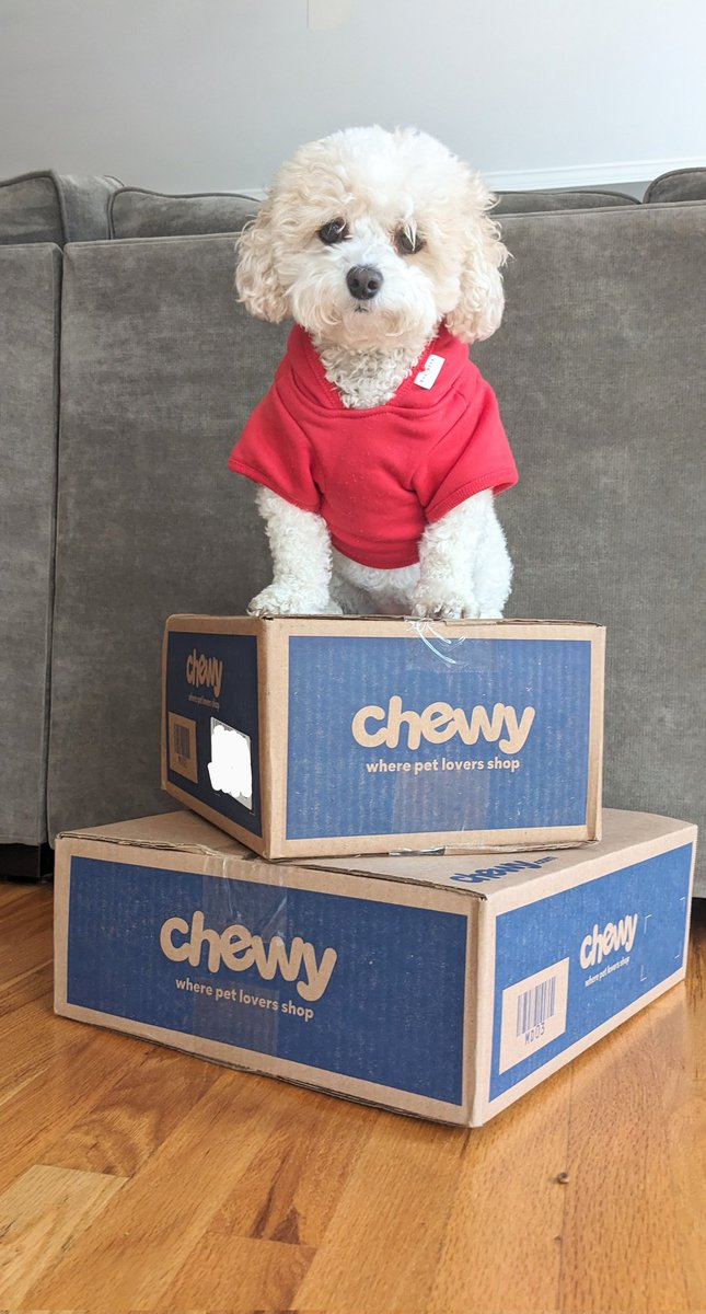 Ready for the holidays! ❄️ @Chewy