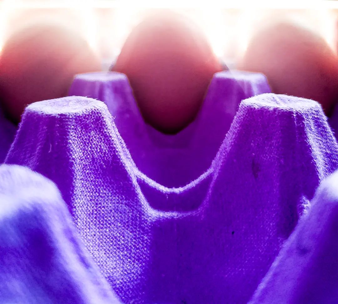 PicturesReda's tweet photo. EGGS.! 🔥 

#eggs #flat #purple #orange #mixture #red #sun #picture #camera #phone #blue #yellow #white https://t.co/2FG9uvp0gz
