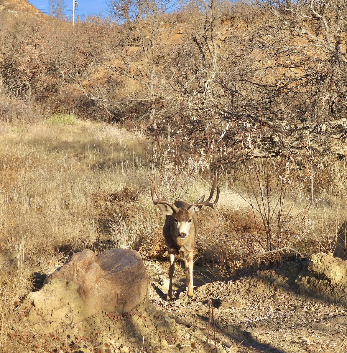 Morning hike…