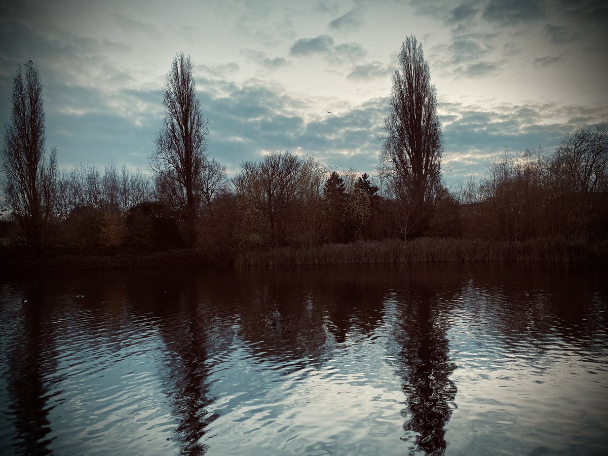 in dark frosted dawn
bird sings as if it were spring
bedroom full of stars