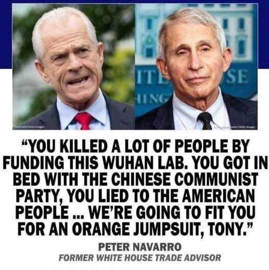 brixwe's tweet photo. Fauci lied, millions died. https://t.co/3tLhSo20If