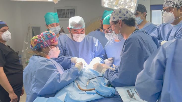 ISSSTE_mx's tweet image. 📰 #COMUNICADO
Corrigen médicos del #Issste compleja malformación neonatal de cráneo a bebé prematura.
🔗bit.ly/3N7bJLM
#EstamosTransformandoAlIssste