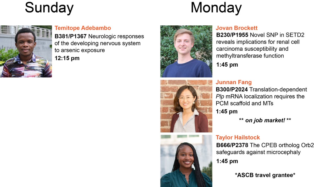 Reminder, Temi <a href="/topjetH/">Adebambo Temitope, PhD</a> will present his poster this afternoon <a href="/ASCBiology/">American Society for Cell Biology</a>  #cellbio2023 !

Come see what happens to the 🪰🧠 when you feed it poison 🧪...