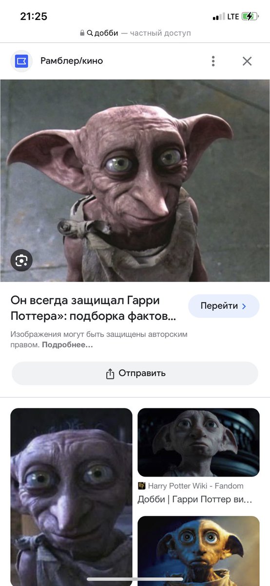 ykgaa's tweet photo. бтв май пёс Герда не парится ведь ей не нужно идти на завод чтобы отдать долг налоговой 200к https://t.co/B9E2vZO84g