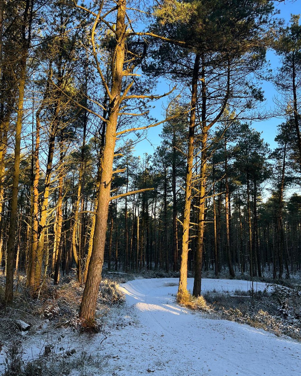 It might be looking a bit crisp, but we will be out this Saturday for a trail day in Lady Cannings from 10-2pm.

Tools are provided, so wrap up warm and you will be rewarded with sweet running trails and hot chocolate and mince pies.

See you there.