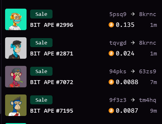 Adaptati0n3's tweet photo. Another Gold sold 🪙

Do you keep fading anon? 👀

Tomorrow major announcement 🔜⏳

The floor continues to rise 📈👑

@BitApes_btc  #BITAPES #BTC https://t.co/TJvMJjfB7s