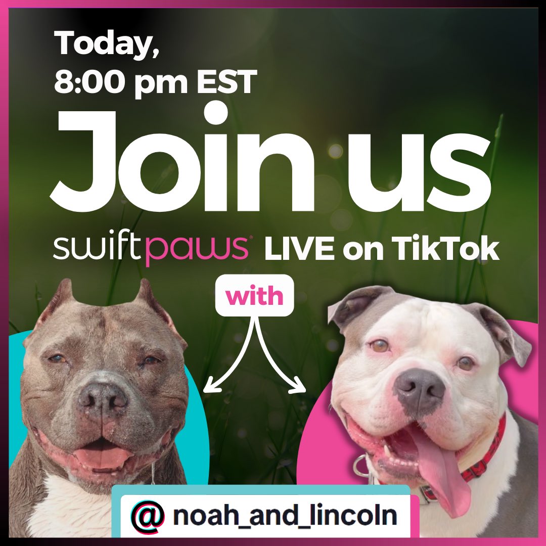 SwiftPaws tweet media