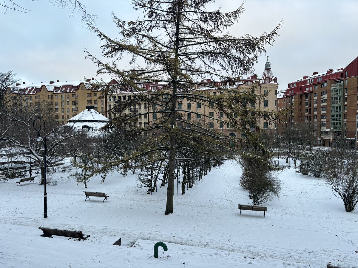Gothenburg  today 💙💛❄️☃️