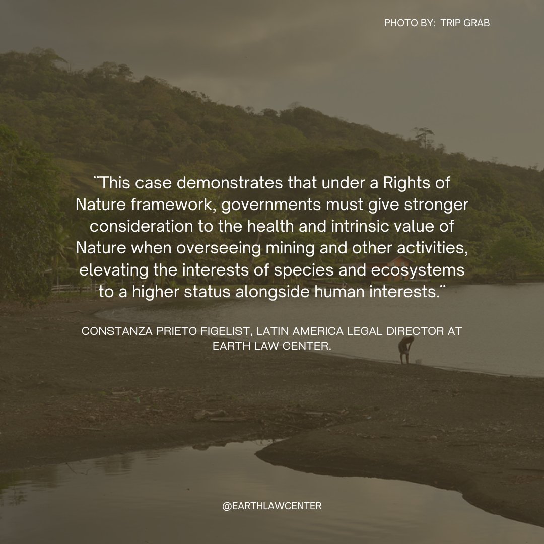 Constanza Prieto on Panama's win: Supreme Court declared Cobré Panamá copper mine unconstitutional, a triumph for the Rights of Nature movement! 🌍👏 #earth #panama #nature #riverlife #news #wildlife