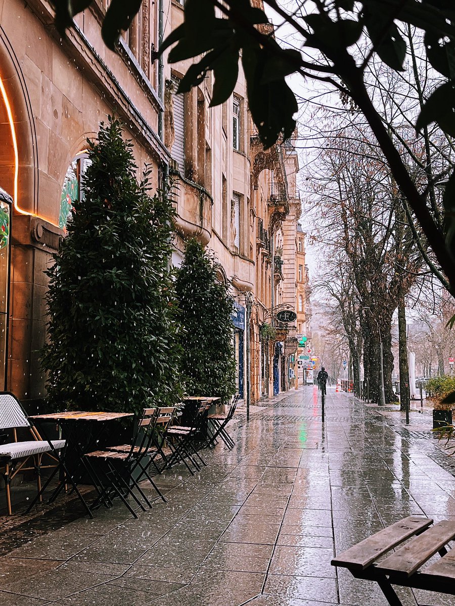 VegolasZer's tweet image. it's beginning to look a lot like christmas 🎄✨