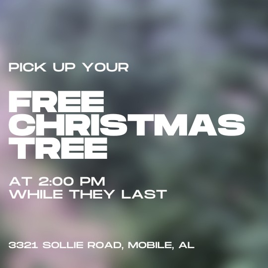 jlamberswx's tweet image. AMAZING!! Oak Park Church in Mobile is giving away FREE Christmas trees this afternoon, beginning at 2 PM! 🎄#MobileAL