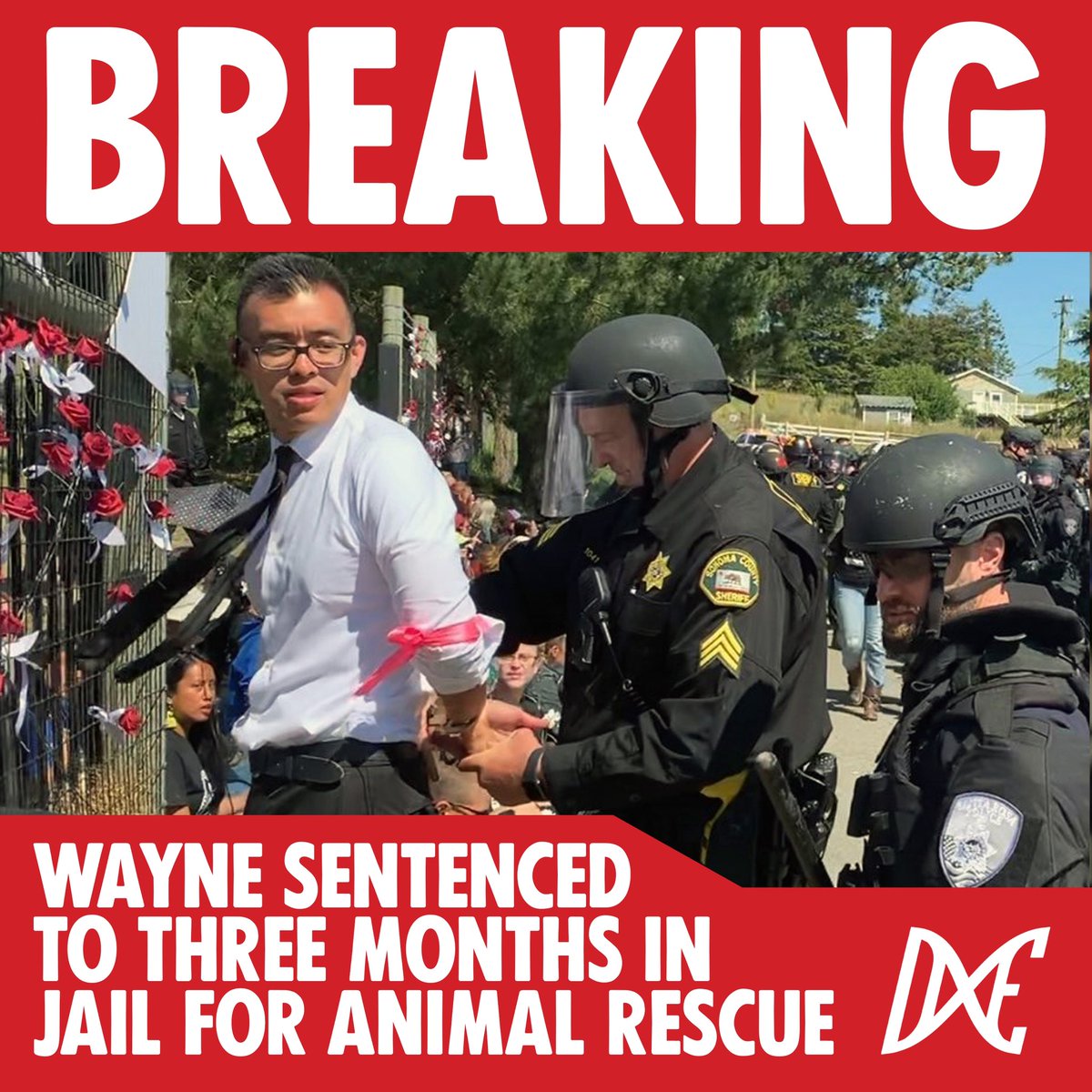 BREAKING: Animal rescuer Wayne Hsiung was just sentenced to 3 months in jail in Sonoma County, California, followed by 2 years of probation. Judge Laura Passaglia also ordered that Wayne have NO CONTACT with the other named “co-conspirators” including several of his closest