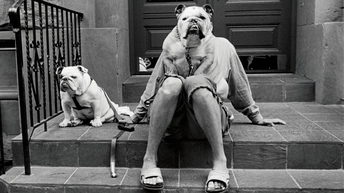 Elliott Erwitt 
one of the best. 1928 - Nov 30 th 2023 📷 👉🏾🖤