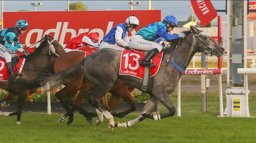 A very special Newmarket night for <a href="/MotreeTasmania/">Motree Thoroughbreds</a> with 4 of the 9 winners bred and/or born &amp; raised at Motree including the 2 features with Island Warrior &amp; First Accused (sired by our resident stallion Turffontein)

Congrats to all owners, jockeys, trainers &amp; staff at home.