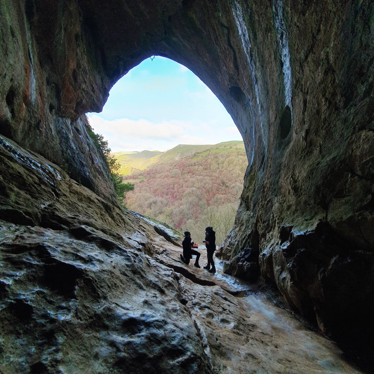 Emily Victorious tweet media