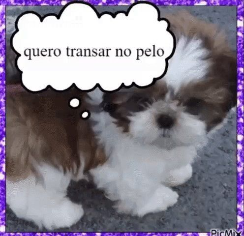inceltristee's tweet photo. https://t.co/pWLMS6ugqt