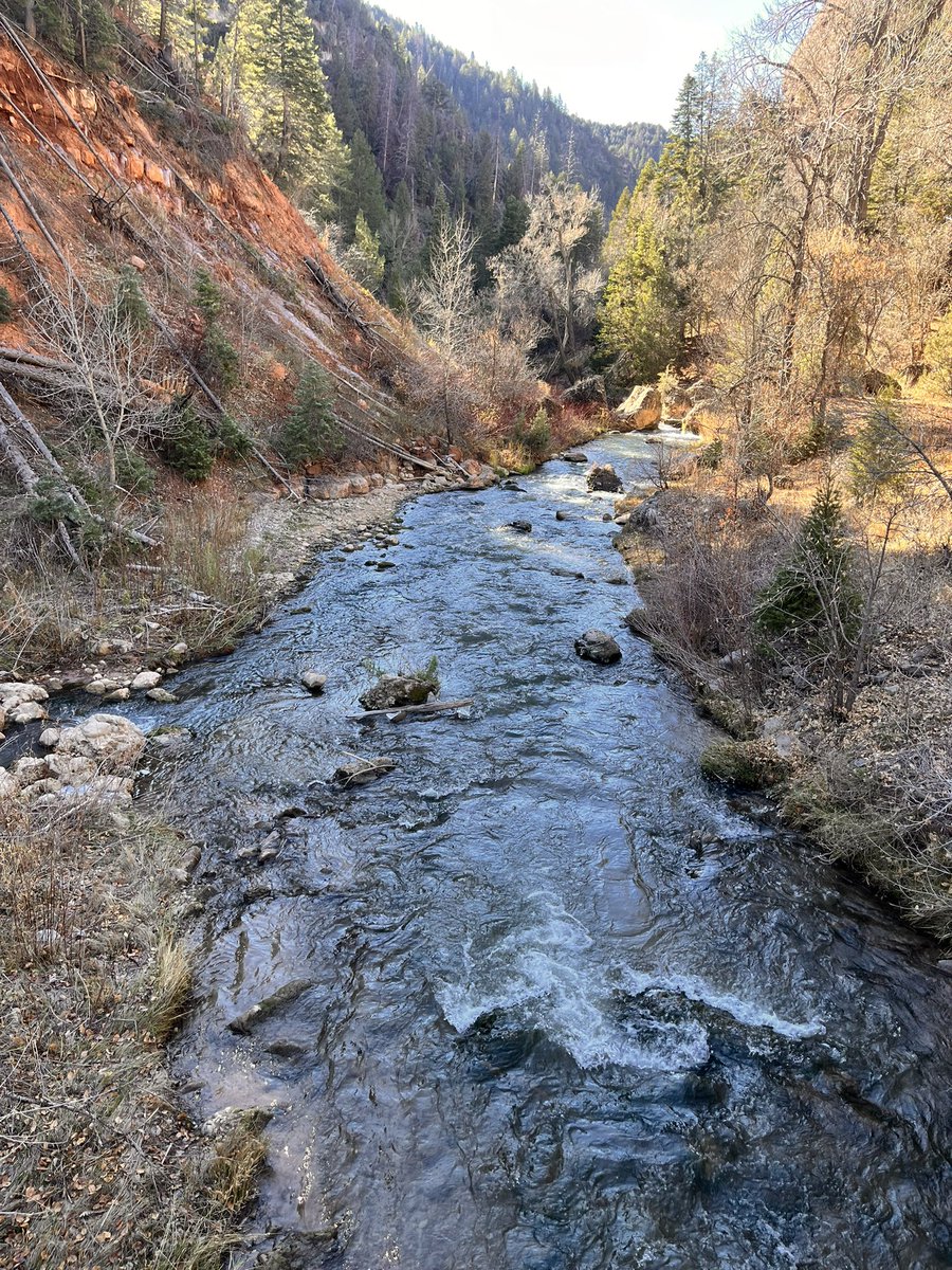 mfpapiichulo's tweet image. 🌅✨