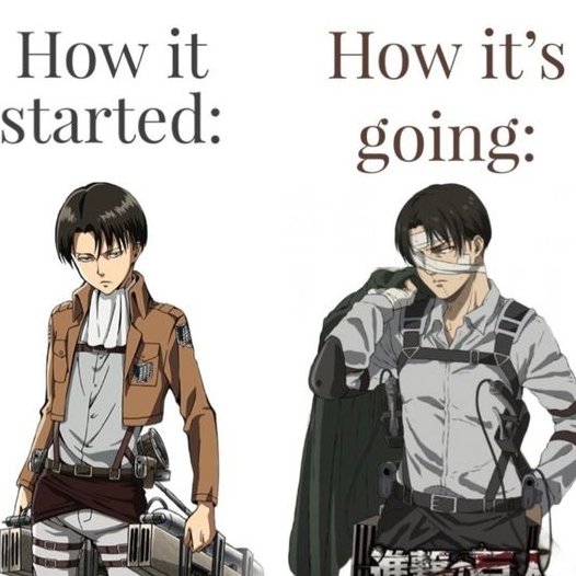 LadyBelleelmore's tweet image. Levi literally became daddy.