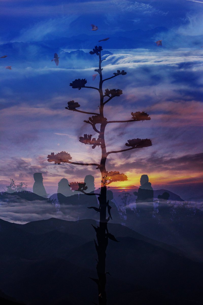 PhotoMix una 4 fotografías distintas en una sola, crean un mundo nuevo. Mirador cuatro palos #Queretaro 

#Mexico #fotografia <a href="/SECTUR_mx/">SECTUR México</a>