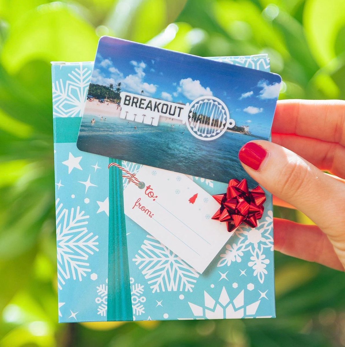 BreakoutWaikiki's tweet photo. Get 20% off when you purchase eGift Cards online! The more you buy, the more you save - valid until December 1st. 

Use promo code CYBER⁠ ⁠ ⁠ 

⁠https://t.co/wK56xLbGXk  https://t.co/e5mZ9jF2XQ