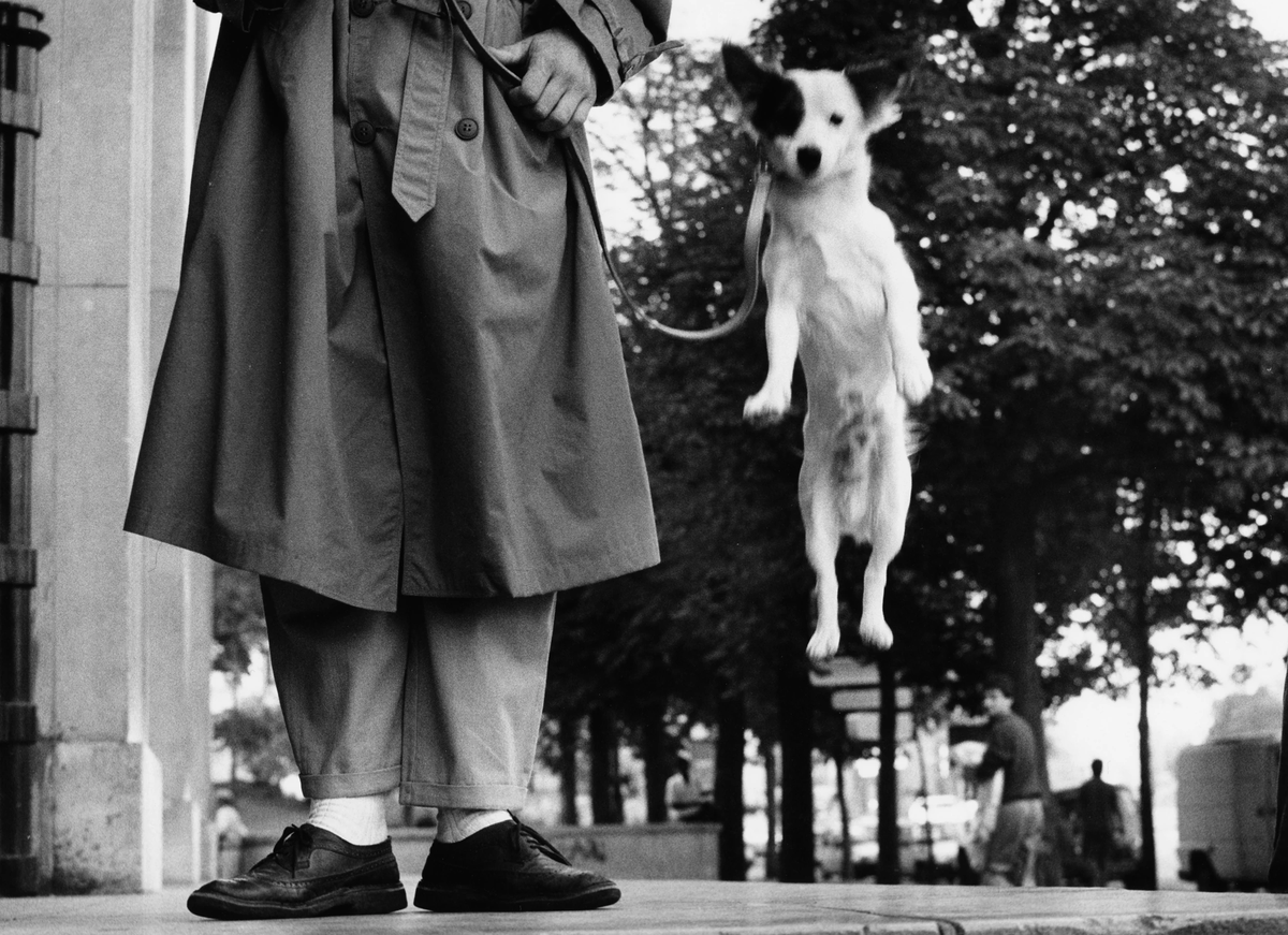 CreativeWisdom_'s tweet photo. RIP Elliot Erwitt. 📷 

#streetphotography #ellioterwitt #blackandwhitephotography https://t.co/ByP4Bxatl9