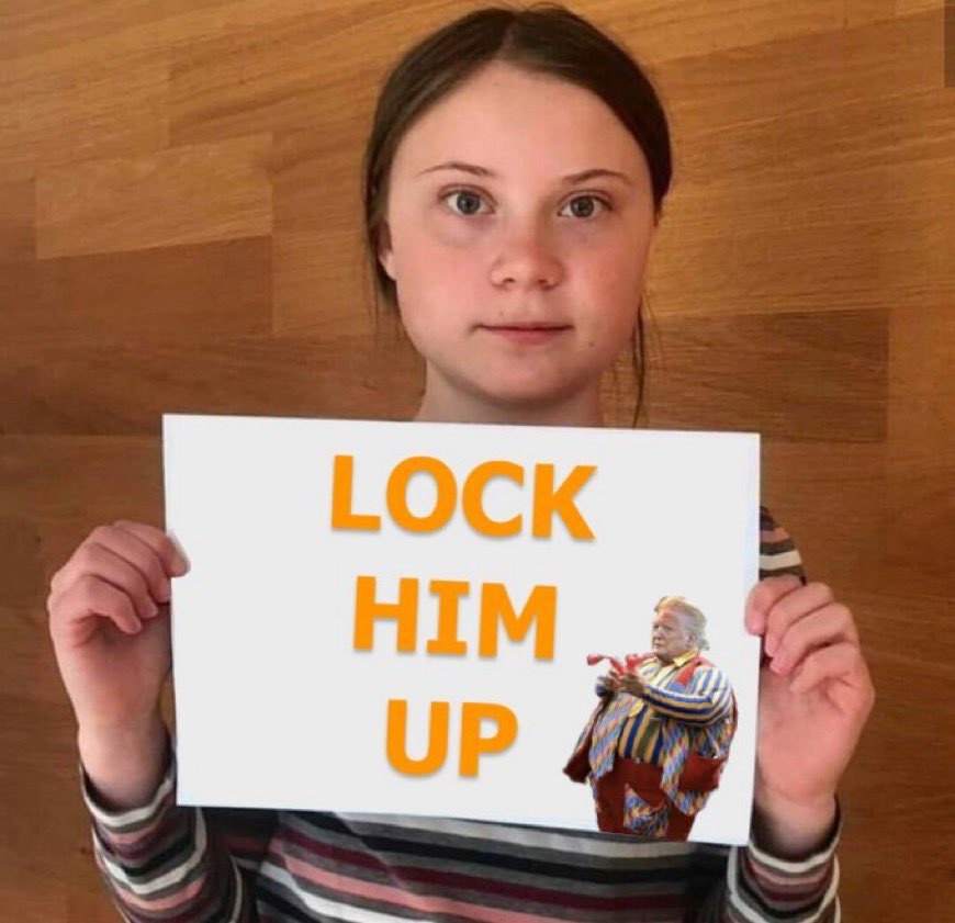 Retweet if you agree with Greta.